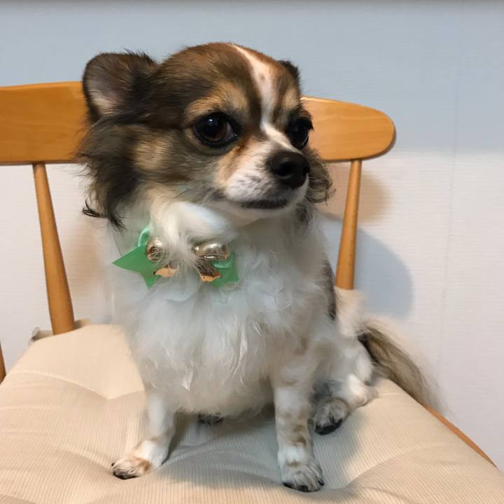 6a4c9d31 4fa8 4a57 8f3f 582bd2c9544e 1557135855940