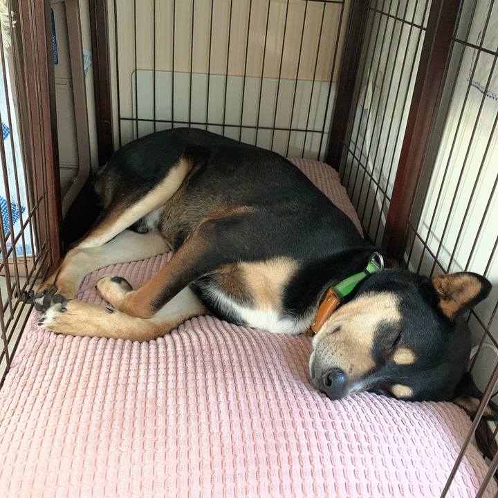 6a4cd1e5 6964 4bdc addf 6c4e4806fb7b 1579151648771