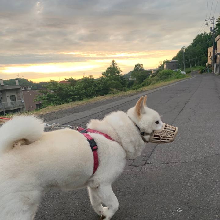 6a4ceb13 0ae1 48ea 9b6a 52084b1bda55 1591649630150