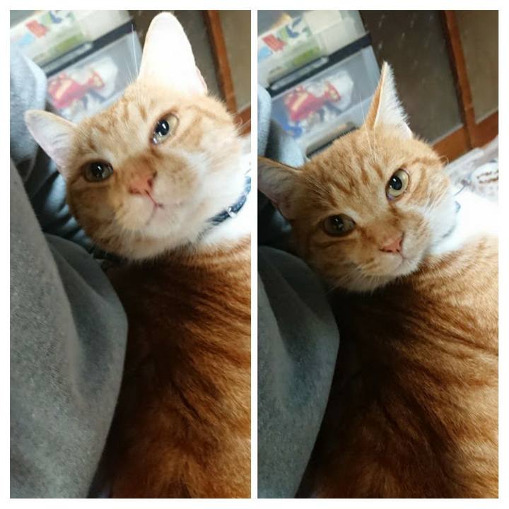 6a4ceece 7979 409c 80b6 d999ef01dc1c 1604917242517