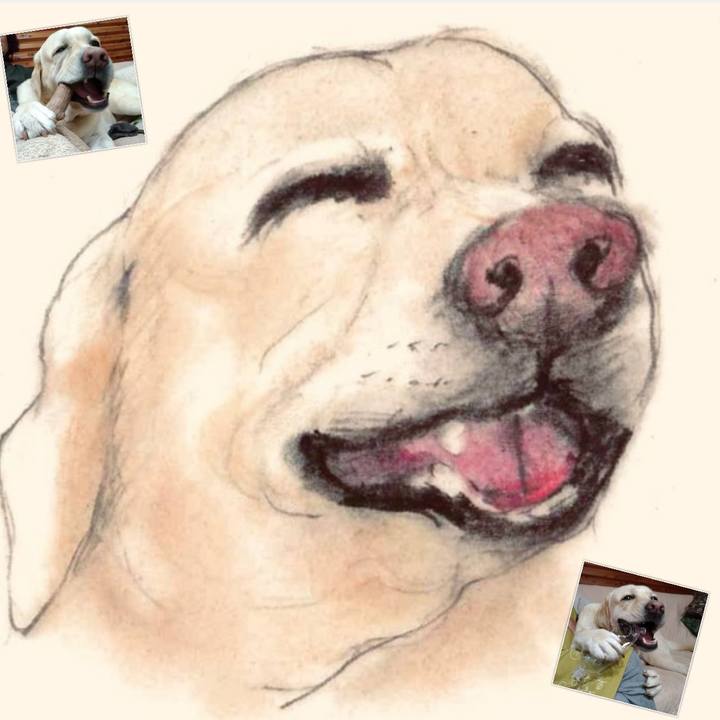 6a4d01cb a232 4ae6 8158 d7fe91caded5 1630567035071