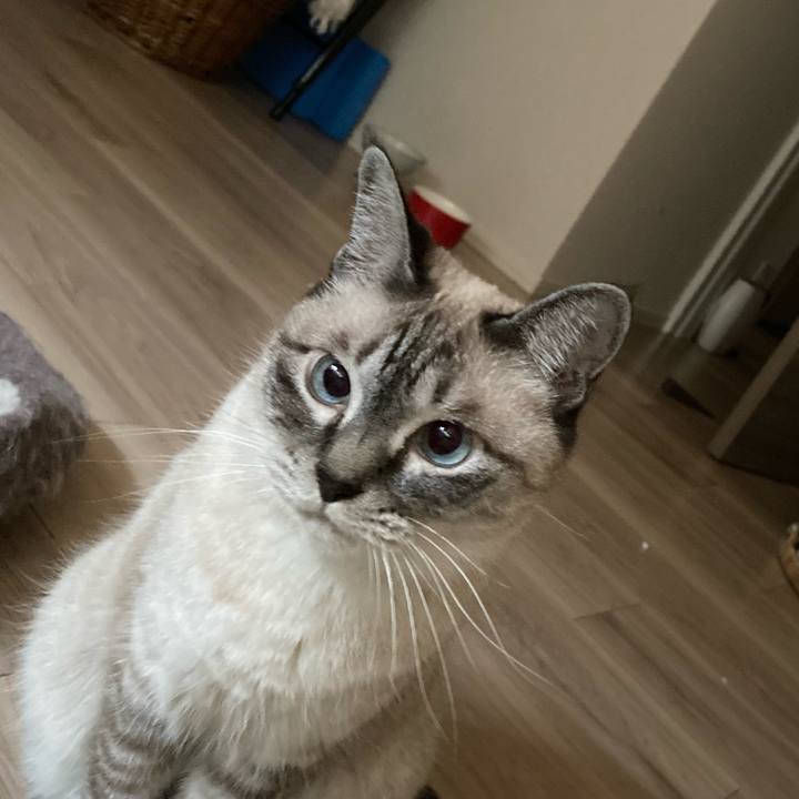 6a4d7bb5 fb21 435f b878 ea70c357c491 1756604918203