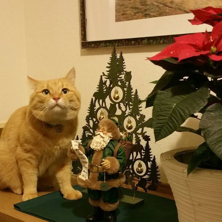 6a4d849e b608 4ecc 9493 2a1bbb1d0a3f 1543882203964