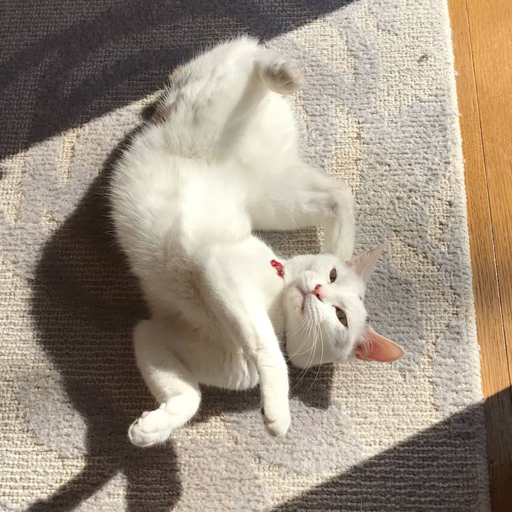 6a4d8990 9762 4dc6 b0bd 05c84859ad0e 1556661591715