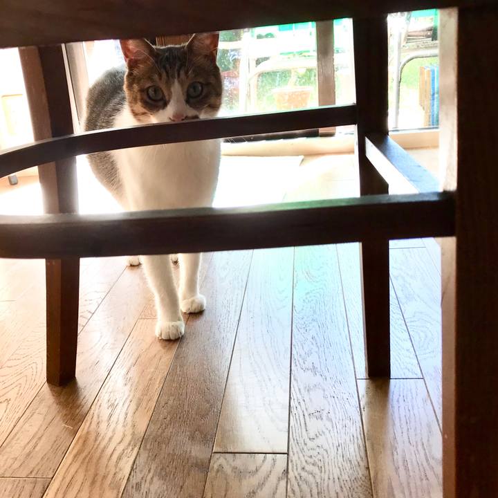 6a4d8a7e 2e29 4f10 97ba 3014d12fe799 1509354318927