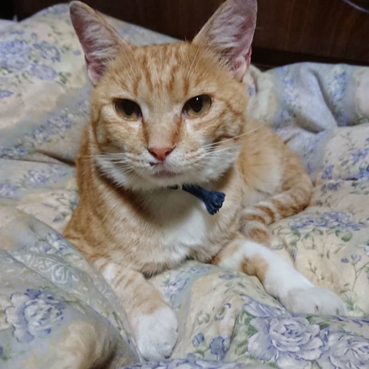 6a4d92c5 0247 4501 bd8c 05477ce8ce69 1563027484667