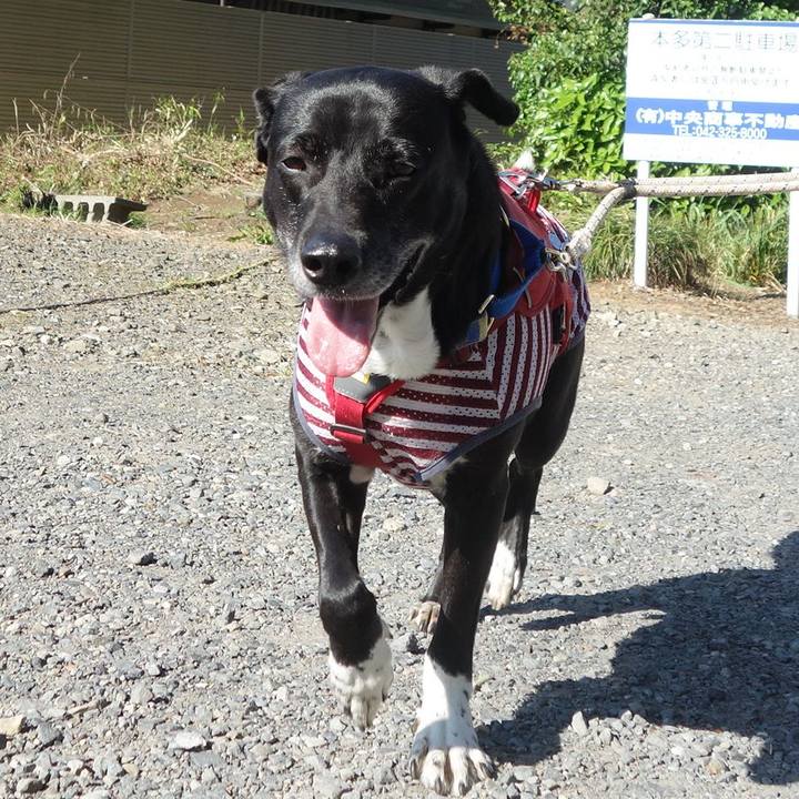 6a4db08c 2f71 4a73 bb3b 1305fddef8eb 1683073740347