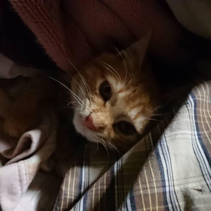 6a4dddc7 6a31 4370 be20 9dd1499ebbc1 1637699504373