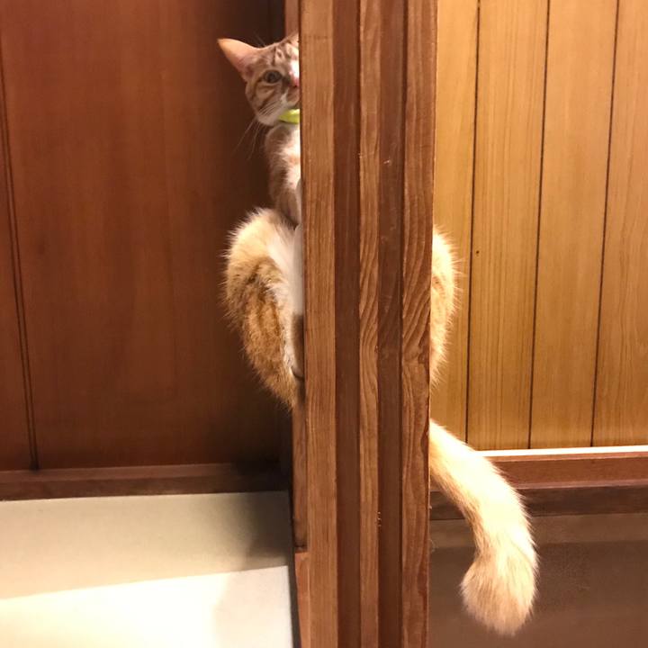 6a4e11b7 2e6b 4733 bde7 ca0053b1b6b5 1520945941733