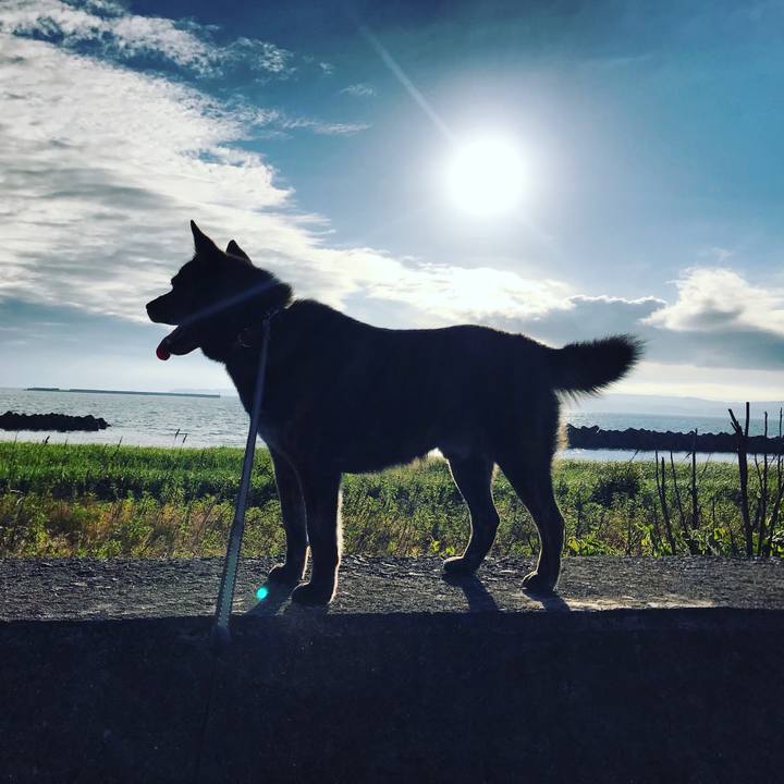 6a4e16f8 de5b 4e05 8143 dc9a9b38d075 1561718778992