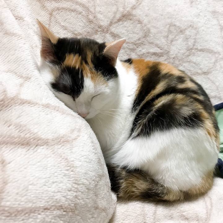 6a4e44fc e269 4148 9e52 30dc8c3d7821 1527173464800