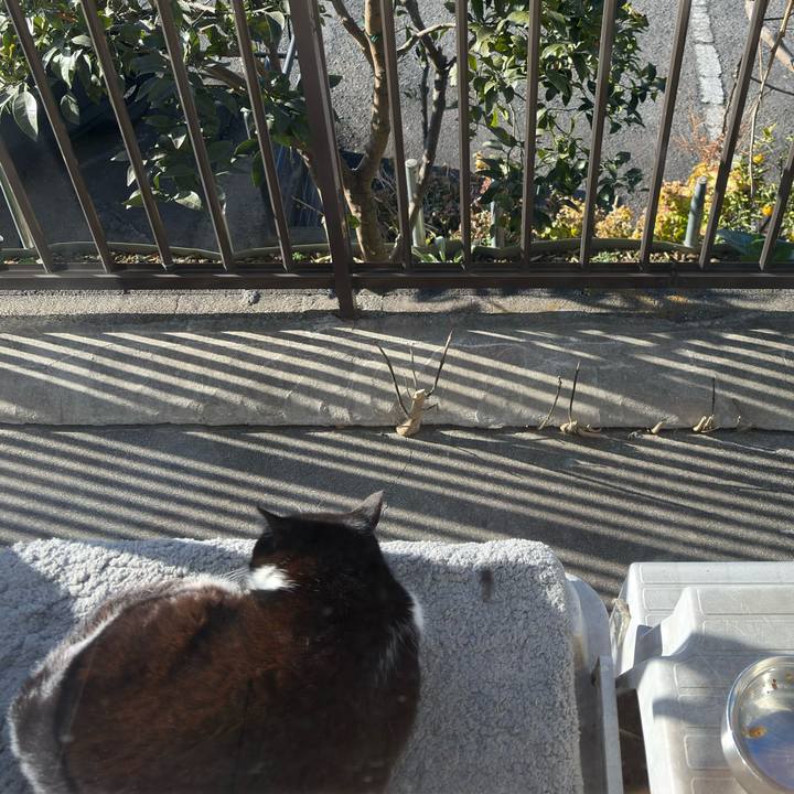 6a4e4ab3 a035 4210 9a86 0dddcf375edc 1771468549546