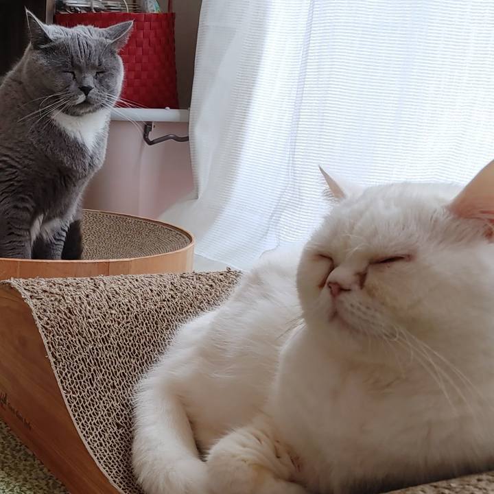 6a4e4cd5 2cc3 40d3 8ef3 3c52db7facbc 1670118148193