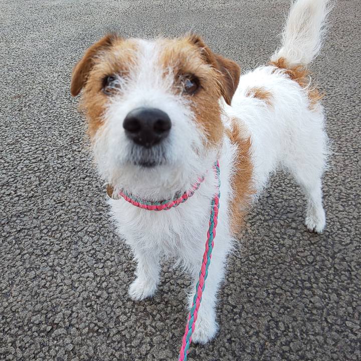 6a4e8a61 a018 456e a10e 55d089523613 1614643139768