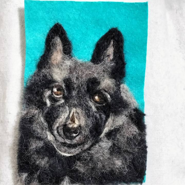 6a4ecd99 64a7 4edc a92a e76e9a0b94d2 1733919284188