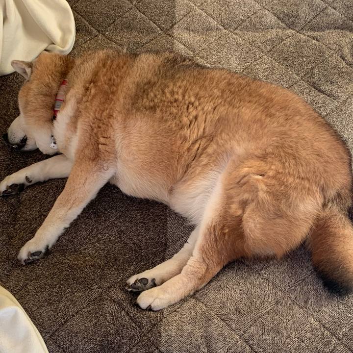 6a4ed21f 6f4c 4532 97af b2143a6a9e87 1648193886847