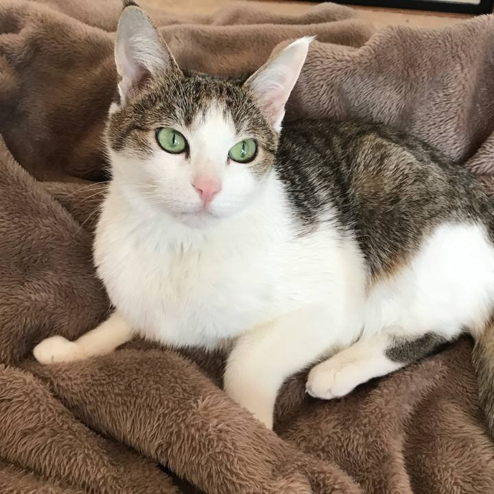 6a4edf67 0f11 46d9 b744 4becbc8acbf1 1624147105371