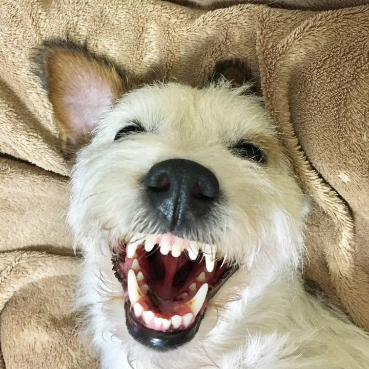 6a4ee0fe 66a8 406a b5e6 76f900fe9ce9 1565957370408