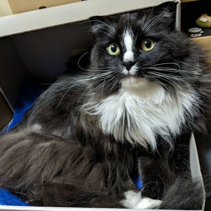 6a4efdee 9e0c 4178 94fb 348f4ce27da2 1706361010176