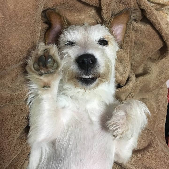 6a4f0325 fb84 404e a4fa 9206a3b4bf37 1538730428810