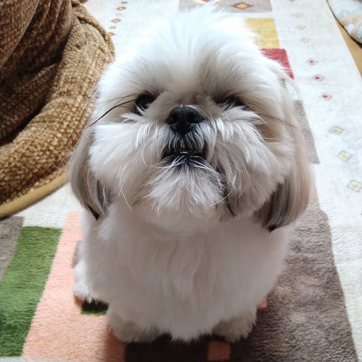 6a4f08a3 f9d2 4d13 9149 eb5149e2bc4c 1644920832436