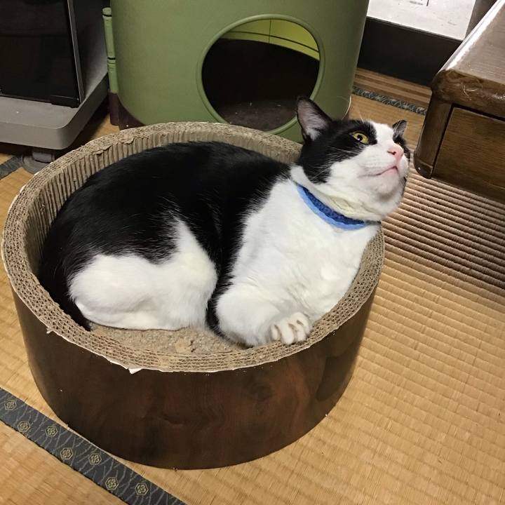 6a4f1d99 e61d 4446 8d71 0ceb7705aa1d 1731497945743