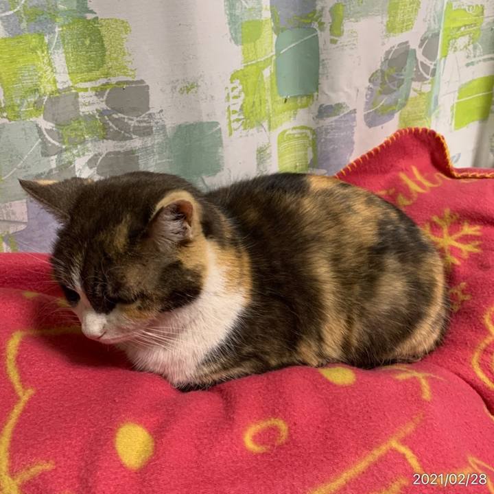 6a4f2195 80cd 4d5e 81c8 db3ccba3a8d3 1614510045246