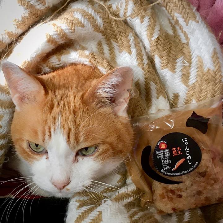 6a4f586b 7a57 4e7d bee2 3bf85cbe9d31 1575860511424