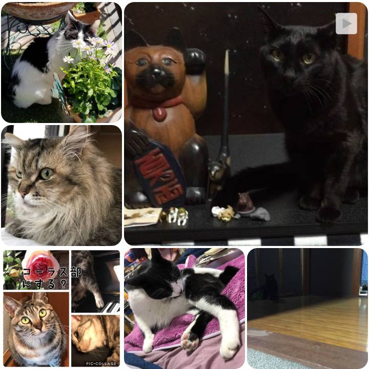 6a4f6beb a8e3 44ef ba18 246752579f58 1557352654655