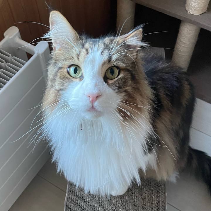 6a4f739f 365d 455c ad73 8dc431f7e166 1685735316314