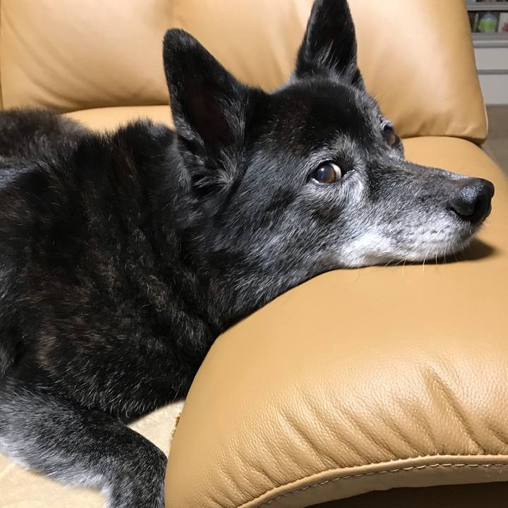 6a4fb79e e0fa 4c7e b87f 815a4b61f771 1604399938493