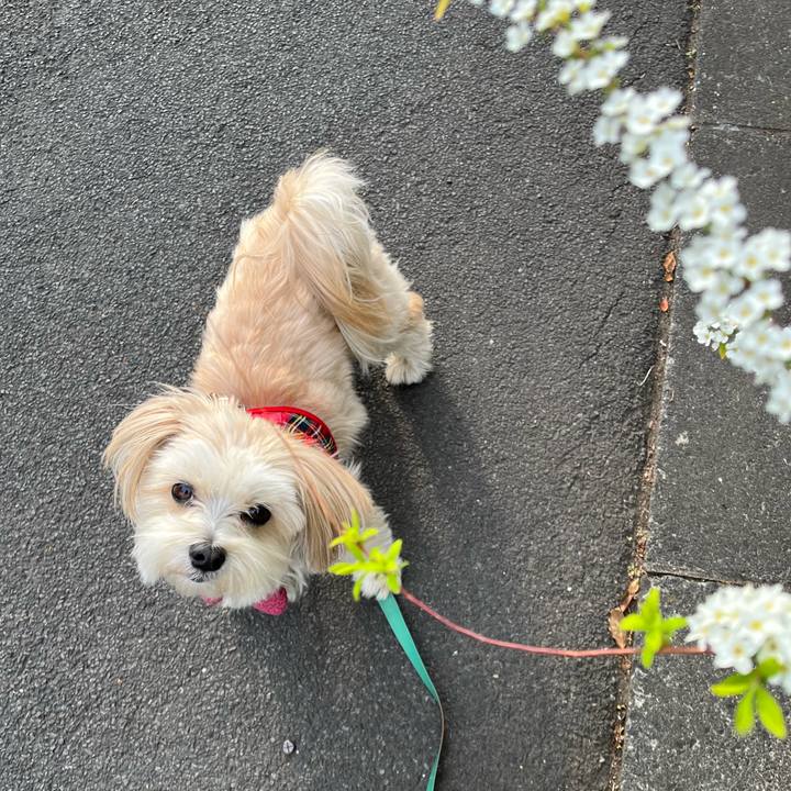 6a4fcf66 e4f4 4402 98b6 2d50633e51d1 1774164451334