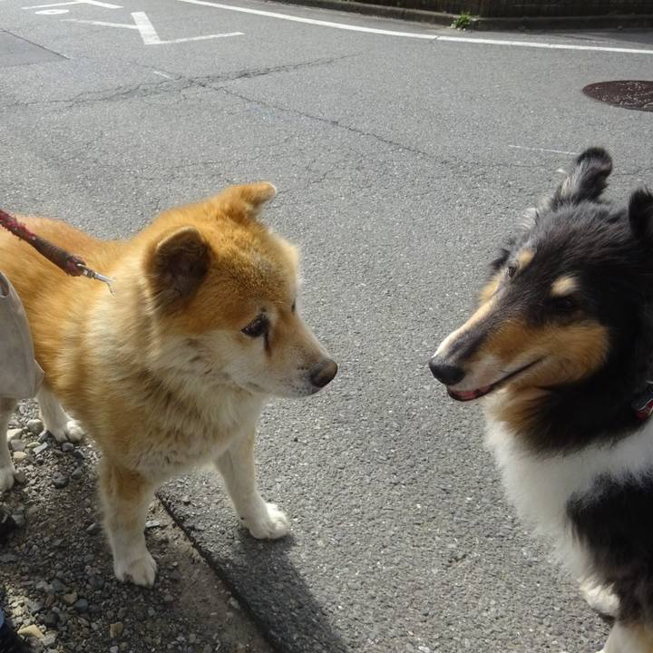 6a4fe47a 8012 4614 ab9d ba174bdf9ae0 1589373362944