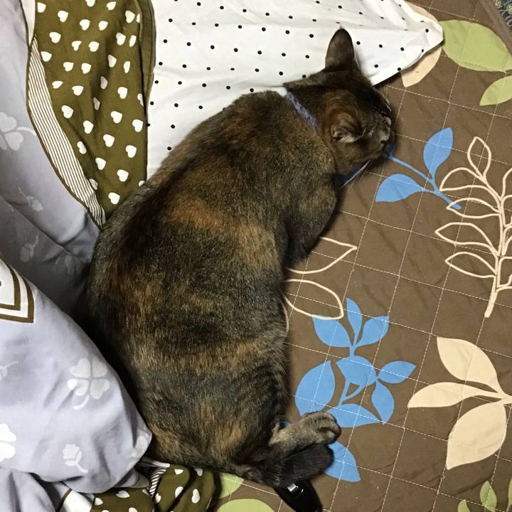 6a504e7e daaa 4b32 9e25 9ecd9cf0d6a2 1634550083429