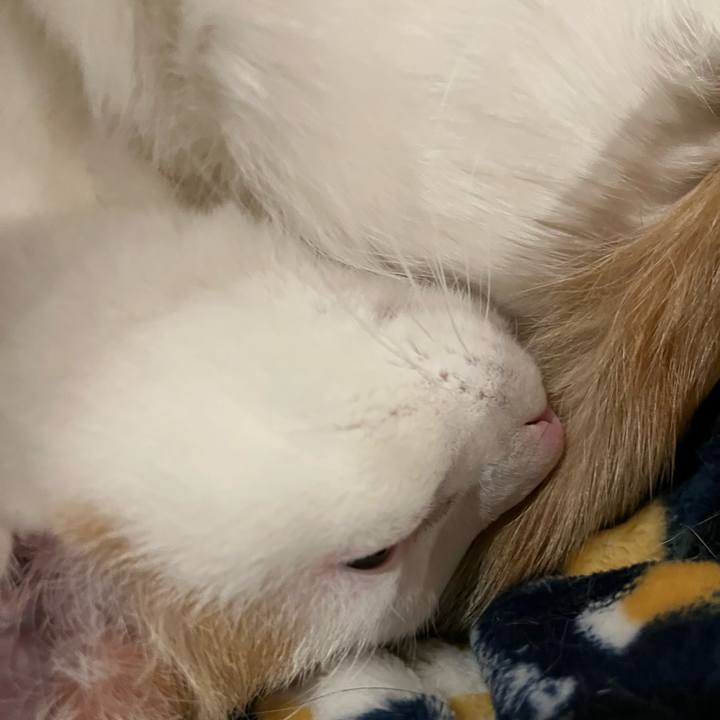 6a507fdb b0dd 4d92 8b67 eaedc0e18272 1769525975389