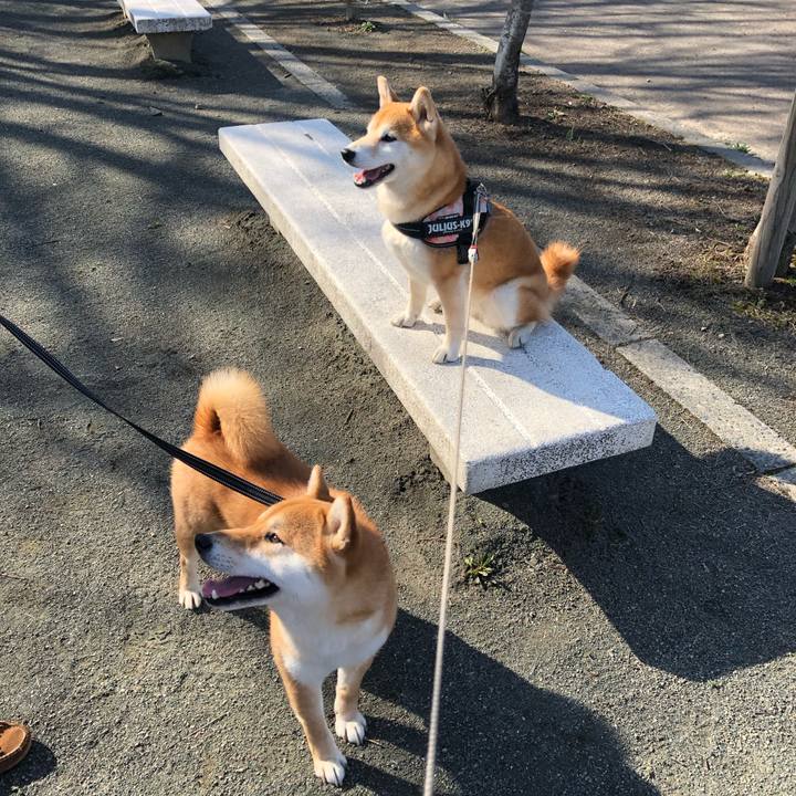 6a508093 485c 4af5 874c 464e9f27adea 1555549364578