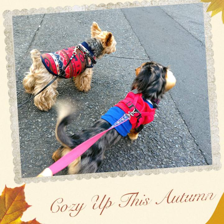 6a508ff8 f03b 4028 afd8 8ce686401c9e 1729553230363