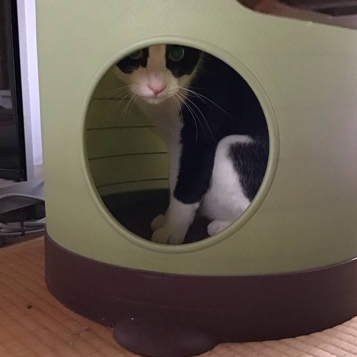 6a50cad0 71f0 448d abab ae4a269d1e6b 1685510437551