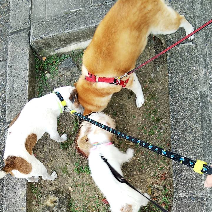 6a50eb23 7845 453b 8876 52b4195cebde 1539521957305