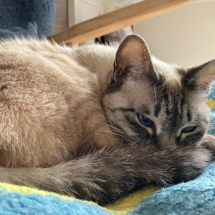 6a50ffde 5b5f 4781 80ba 108702757f6c 1679373208206