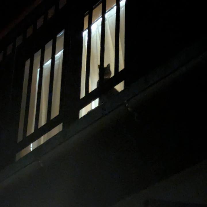 6a51026d 4d00 4fa1 9ad0 3e985505e834 1746927840341