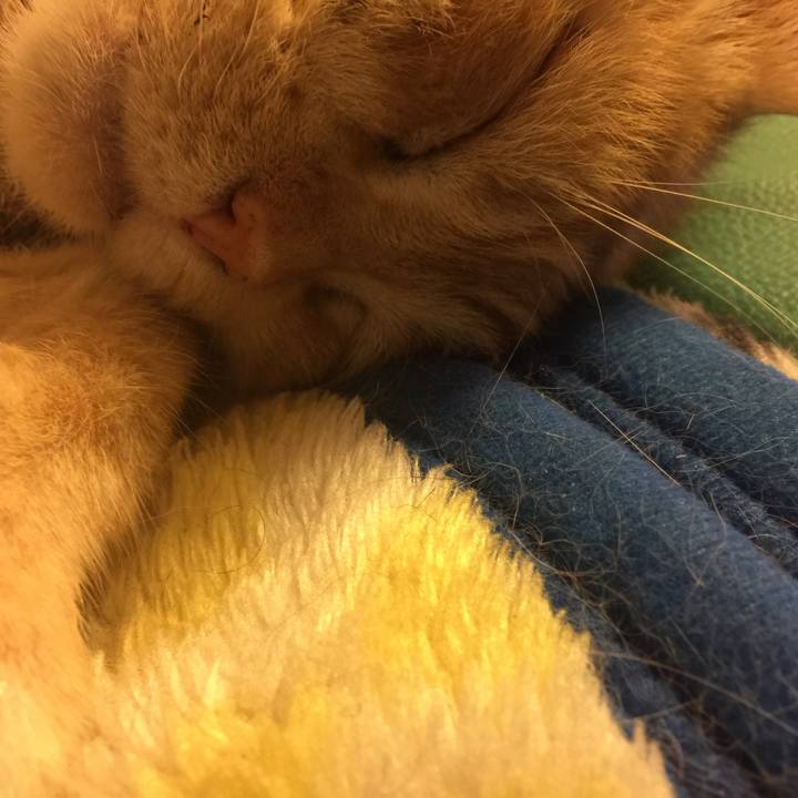 6a511db1 2e58 4553 afd6 1207a6f86c09 1562679488770