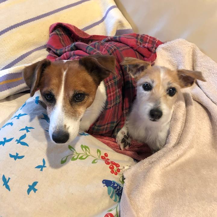 6a5128b1 6473 4792 ae2e cc5076269aa8 1606222548892