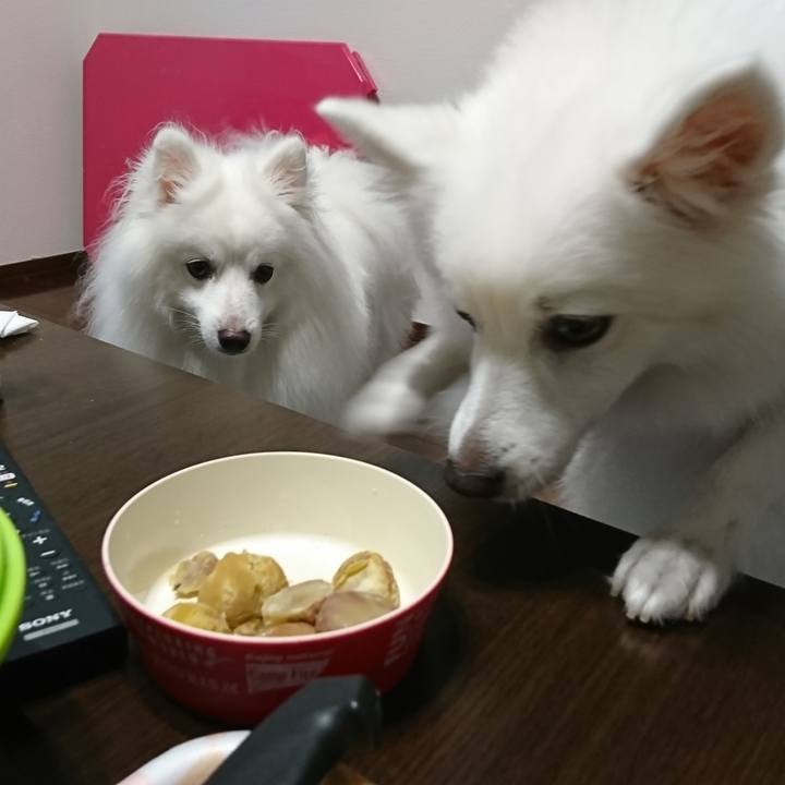 6a512960 29ea 4722 b798 ee19f456bafd 1601010813127