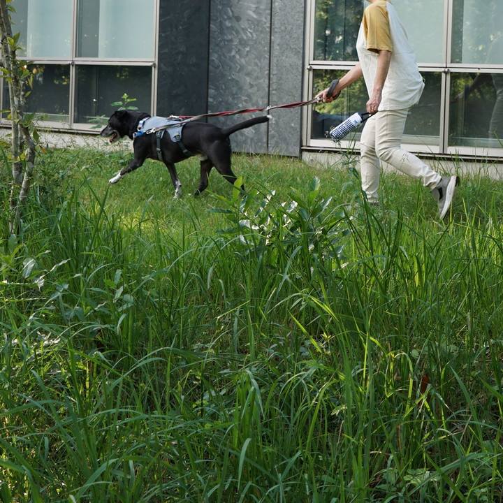 6a51301a 3e9a 4ff7 b906 ee39c775ee55 1760676722429