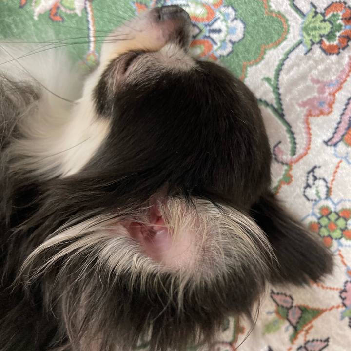 6a516449 ffcf 4189 af9b 7b822d306c6e 1661611290025