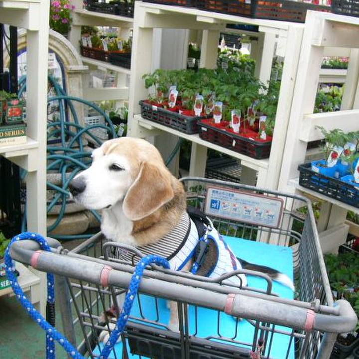 6a51c80b 9171 4e05 a555 ed5cf279a9e9 1662855721302