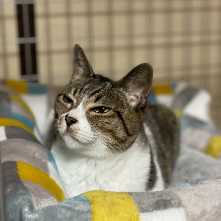 6a51ddee 3a12 4dfd aaa9 79aaeb9cd1ff 1610581558227