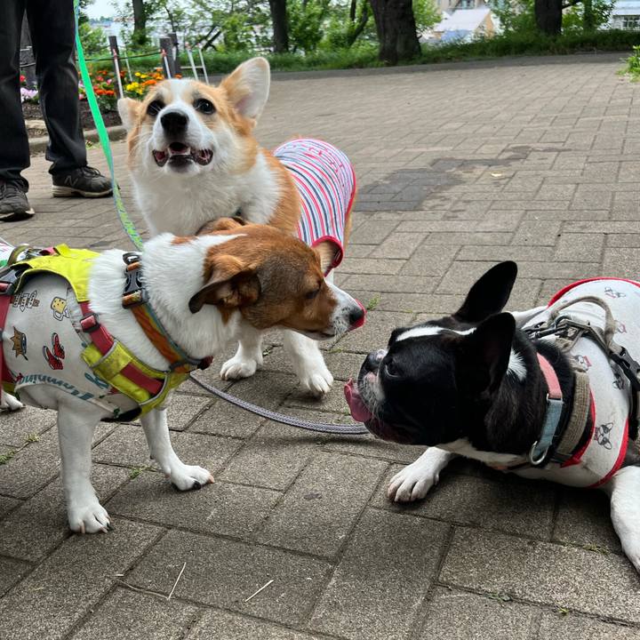 6a522de1 cd5a 4d21 9451 fda517820ad7 1718280586174