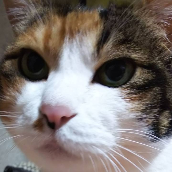 6a523f91 de5c 4dc3 b7bd 92a88675db69 1573306865809